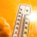 பல மாவட்டங்களில் வெப்பமான வானிலை!