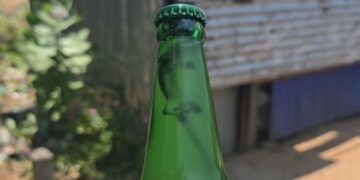 கள் போத்தலுக்குள் – இறந்த பல்லியின் உடல்!