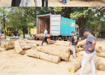 தேக்குமர குற்றிகள் கடத்திய பாரவூர்தி!