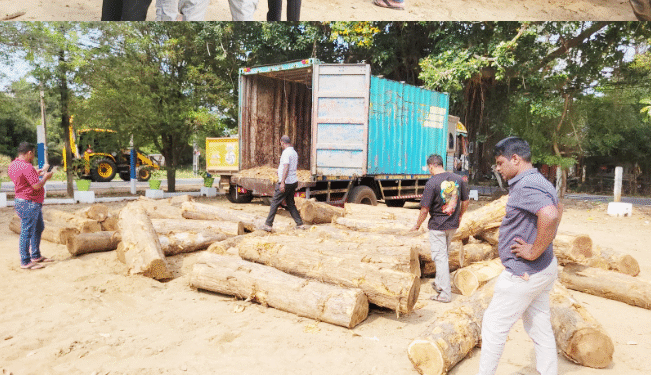 தேக்குமர குற்றிகள் கடத்திய பாரவூர்தி!