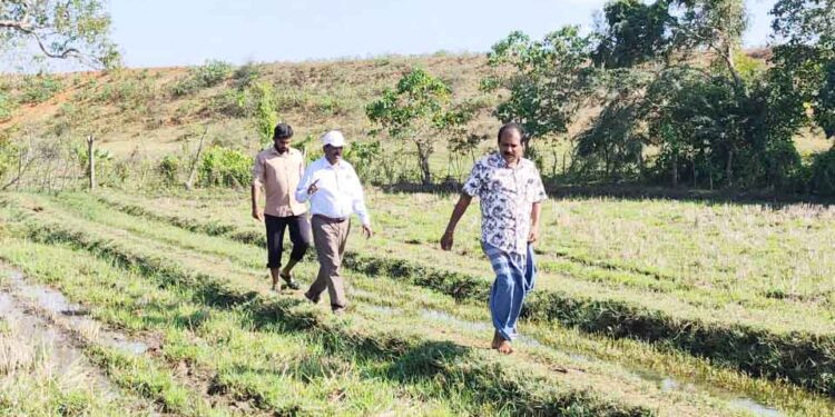 கணுக்கேணிக்குளத்தின் வாய்க்கால் சீரமைப்புக்கு – 3,50.000 ரூபா ஒதுக்கீடு