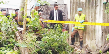 தங்கத் தோட்டால் 6 வருடத்தின்பின் –  வெளியான இரட்டைக் கொலை மர்மம்!