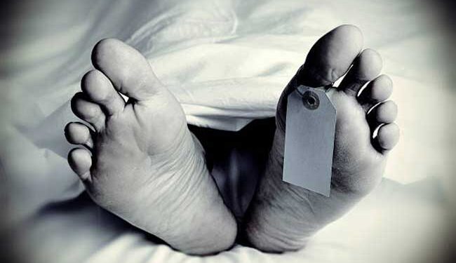 ஜேர்மன் நாட்டின் ஓய்வுநிலை விமானி சடலமாக மீட்கப்பட்டார்