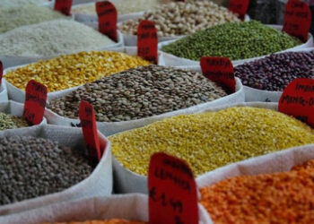 உணவுப் பொருட்களின் விலை அதிகரிக்கும் அபாயம் : ஐ.நா. எச்சரிக்கை!