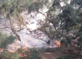 மணற்காட்டில் தீ பரவல்!