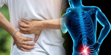 நாட்டில் 20 இலட்சம் பேர் சிறுநீரக நோயால் பாதிப்பு!