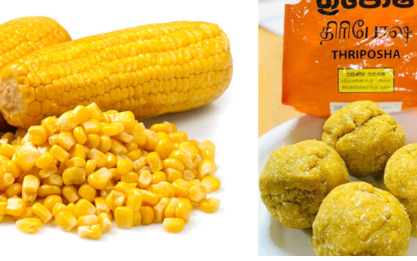 பல மாதங்களின் பின் – திரிபோஷா உற்பத்தி மீண்டும் ஆரம்பம்