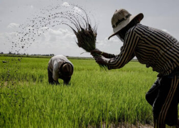 விவசாயிகளுக்கு QR இன்றி எரிபொருள்!