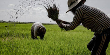 விவசாயிகளுக்கு QR இன்றி எரிபொருள்!