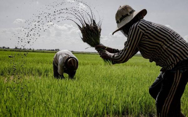 விவசாயிகளுக்கு QR இன்றி எரிபொருள்!