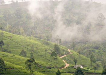 மலைநாட்டில் கடும் குளிர் – அவதானம் செலுத்துமாறு பயணிகளுக்கு அறிவுறுத்து