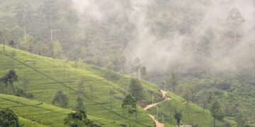 மலைநாட்டில் கடும் குளிர் – அவதானம் செலுத்துமாறு பயணிகளுக்கு அறிவுறுத்து
