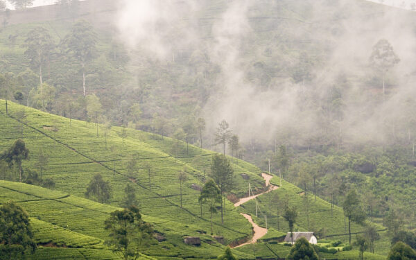 மலைநாட்டில் கடும் குளிர் – அவதானம் செலுத்துமாறு பயணிகளுக்கு அறிவுறுத்து