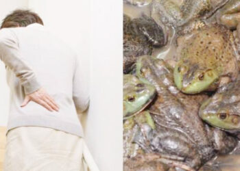 முதுகு வலி தீர தவளைகளை விழுங்கிய சீன நாட்டு மூதாட்டி!