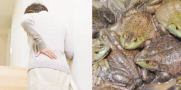 முதுகு வலி தீர தவளைகளை விழுங்கிய சீன நாட்டு மூதாட்டி!