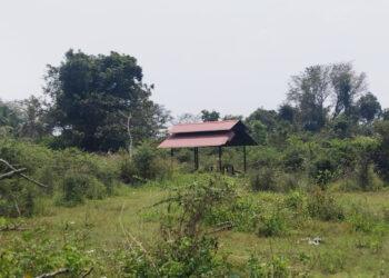 பற்றைக்காடாக மாறிய மயானம் –  பிரதேச சபை கண்டுகொள்ளுமா?