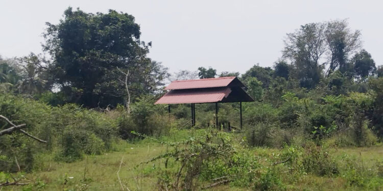 பற்றைக்காடாக மாறிய மயானம் –  பிரதேச சபை கண்டுகொள்ளுமா?