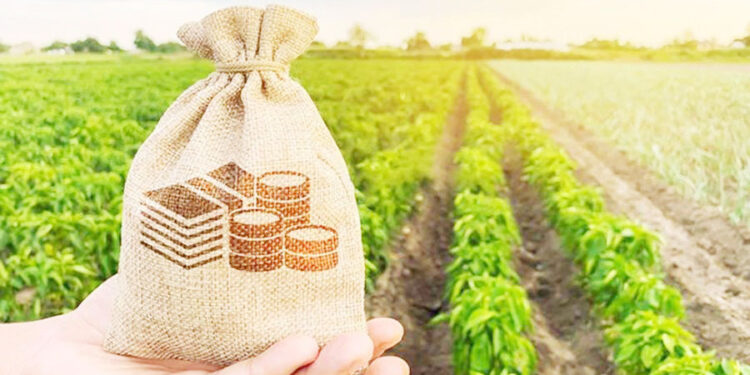 இளைஞர்களுக்கு விசேட சலுகைக் கடன் திட்டம்!