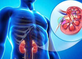 சிறுநீரக நோய் தீவிரம் – இறுதிக்கட்டத்தில் 5,000 பேர்!