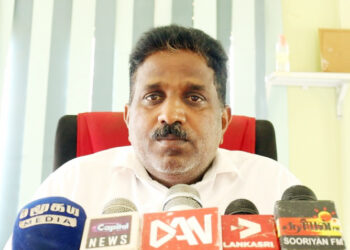 இரவு நேர கட்டாக்காலி கால்நடைகளை கட்டுப்படுத்துங்கள்