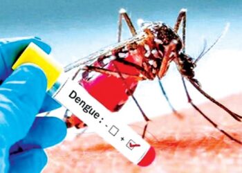 24 மணிநேரத்தில் 1069 டெங்கு நோயாளர்கள் அடையாளம்