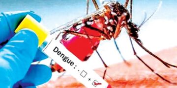 24 மணிநேரத்தில் 1069 டெங்கு ​நோயாளர்கள் அடையாளம்