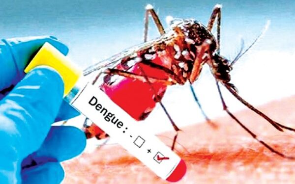 24 மணிநேரத்தில் 1069 டெங்கு நோயாளர்கள் அடையாளம்