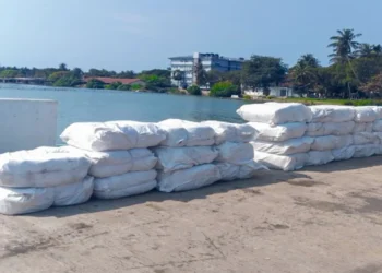 நீர்கொழும்பு கடற்பரப்பில் பெருந்தொகையான பீடி இலைகள் கைப்பற்றல்!