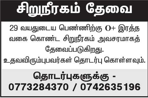Maestro Innovative Solution Pvt Ltd