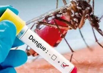 டெங்கு மரணங்களின் எண்ணிக்கை 35 ஆக உயர்வு