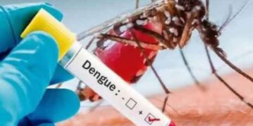 டெங்கு மரணங்களின் எண்ணிக்கை 35 ஆக உயர்வு
