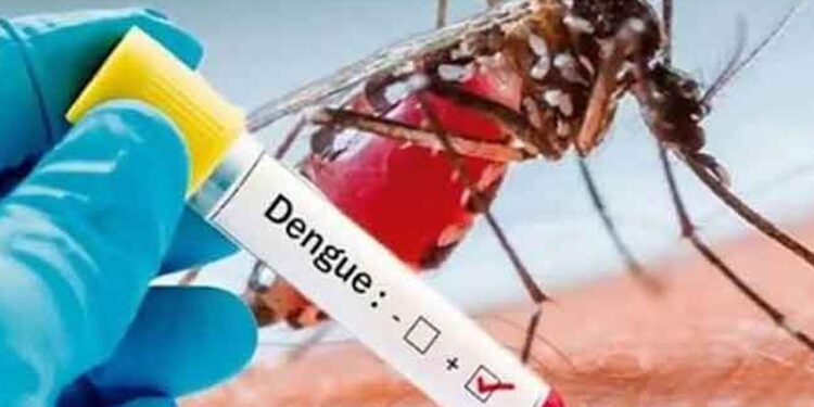 டெங்கு மரணங்களின் எண்ணிக்கை 35 ஆக உயர்வு