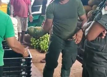 இராணுவத்தினர் விவசாயிகளா? வலி.வடக்கில் வைரலாகும் மரக்கறி விற்பனைக் காட்சி