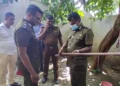 டெங்கு ஒழிப்பு சோதனையின்போது துப்பாக்கி மீட்பு – ஒருவர் கைது