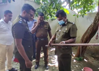 டெங்கு ஒழிப்பு சோதனையின்போது துப்பாக்கி மீட்பு – ஒருவர் கைது