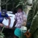 துறைமுக நகரில் சீன நாட்டவர் கொலை – சிகிரியாவில் பதுங்கியிருந்த இரண்டு சீன நாட்டவர்கள் கைது !
