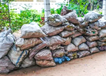 கற்பிட்டியில் சட்டவிரோதமாக சங்கு பதுக்கிய இருவர் கைது