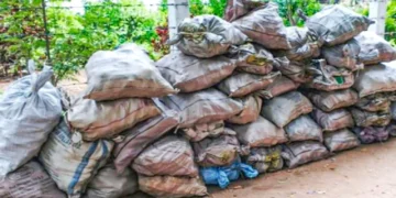 கற்பிட்டியில் சட்டவிரோதமாக சங்கு பதுக்கிய இருவர் கைது
