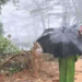 ஹட்டன் – கொழும்பு வீதியின் போக்குவரத்து முற்றாக பாதிப்பு